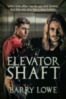 elevatorshaft_med